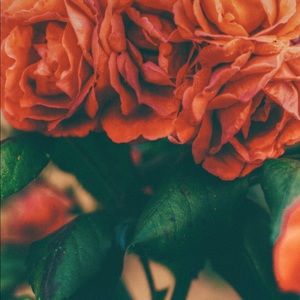 Meet your Posher, Adrienne